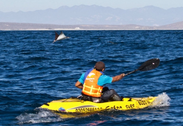  Kayaks in Cabo Pulmo 
